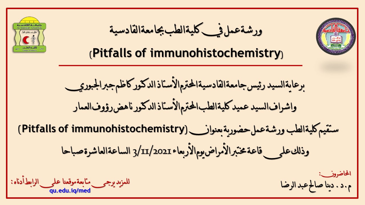 دينا صالح عبد الرضا