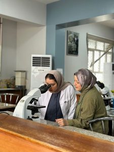 المعيار السادس18 6 225x300